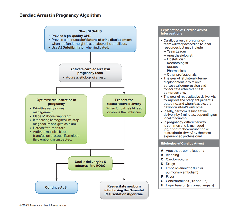 The American Heart Association's Cardiac Arrest in Pregnancy algorithm as of 2025